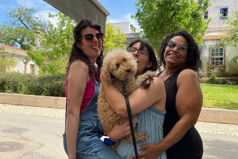 Queer Lisbon History Tour: scene/history Queer Lisbon: 1/2-day walking tour: scene/history