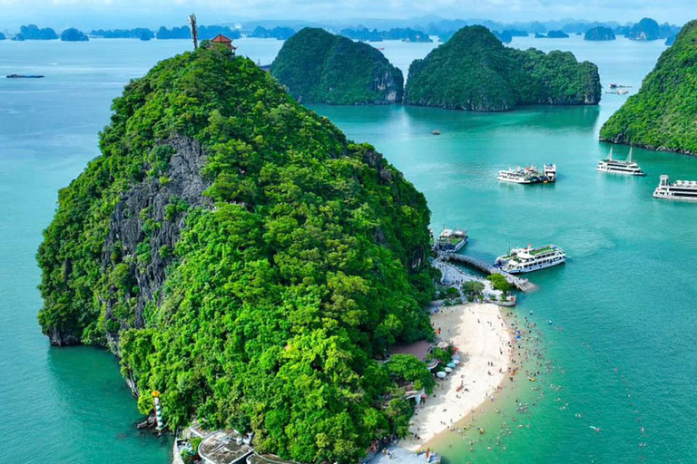 Hanoi: Aurora Halong Day Cruise - Lunch, Kayak, Swim, Cave from Halong: Cruise with Buffet, Kayaking (No transfer)
