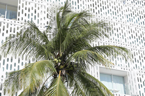 Rio de Janeiro: Modern Architecture Experience with Guide