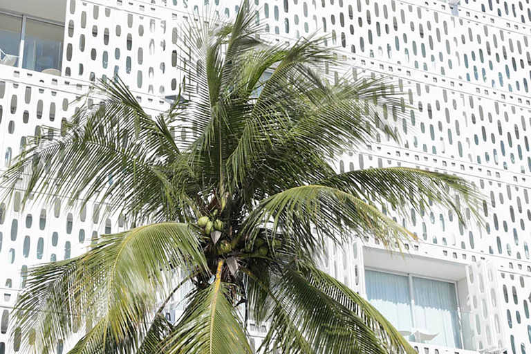 Rio de Janeiro: Modern Architecture Experience with Guide