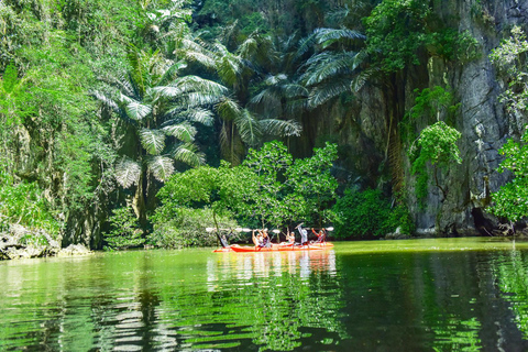 Krabi: excursão de meio dia em caiaque no mangue Bor Thor