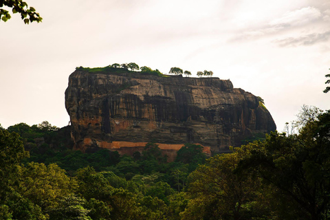 Sigiriya e Dambulla: Tour particular de um dia saindo de Trincomalee