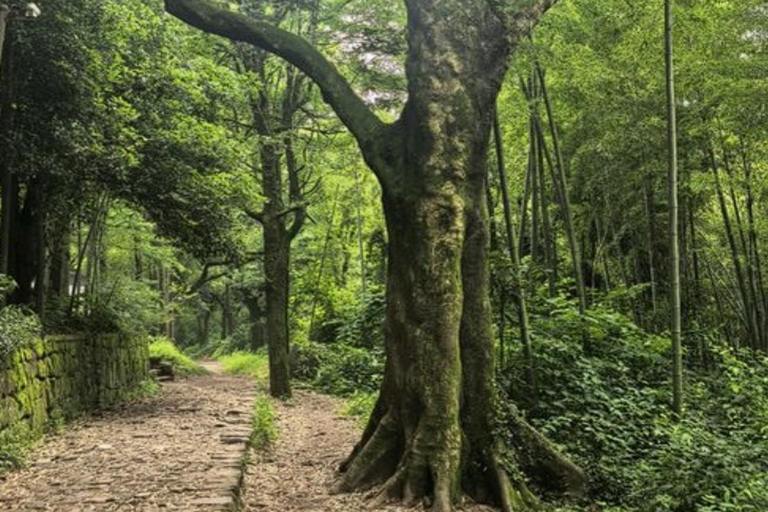 Suzhou: Hangzhou Nine Creeks & Longjing Tea Village Trip
