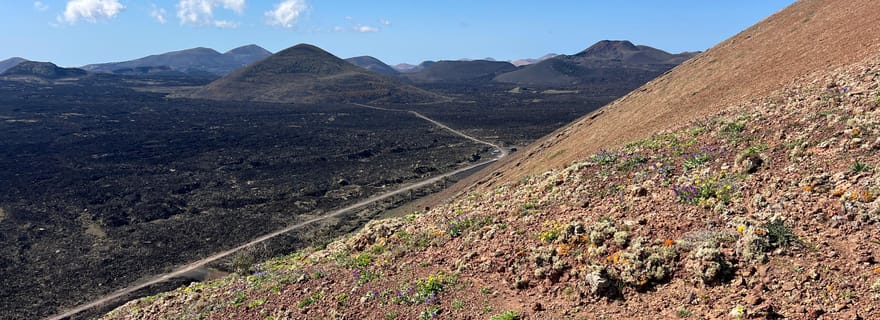 Lanzarote : randonnée guidée à la découverte de l'histoire et de la culture des volcans