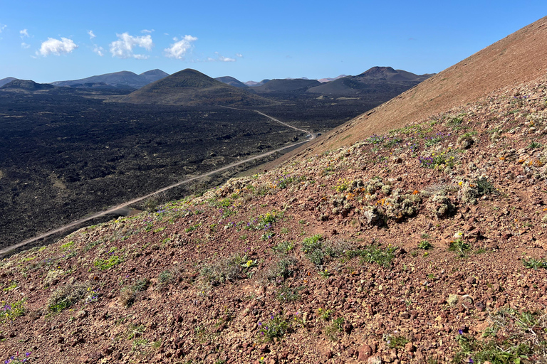 Lanzarote: Guided Hike discover volcano history and culture