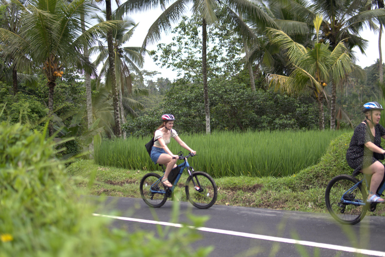 Ubud: E-Bike Tour with Rice Terrace and Village Visit Ubud: E-Bike Tour with Rice Terrace and Village Visit