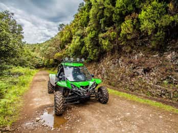 Crete buggy safari