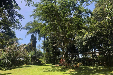 Nairobi: Fairview Coffee Estate Tour & Tasting