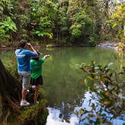 Airlie Beach: Eungella Wild Platypus Encounter Eco Day Tour Airlie Beach: Eungella Wild Platypus Encounter Eco Day Tour