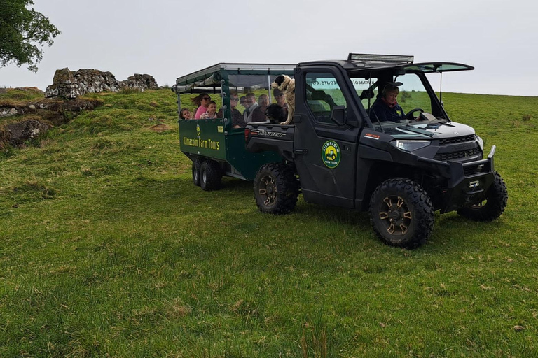 Glasgow: Highland Cow Trailer Tour with home baking