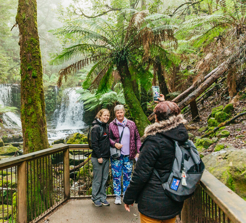 Guided tours