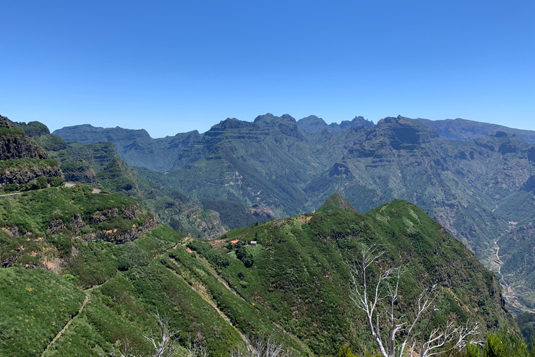 Madeira: Passeio Turístico Privado para 6 pessoas