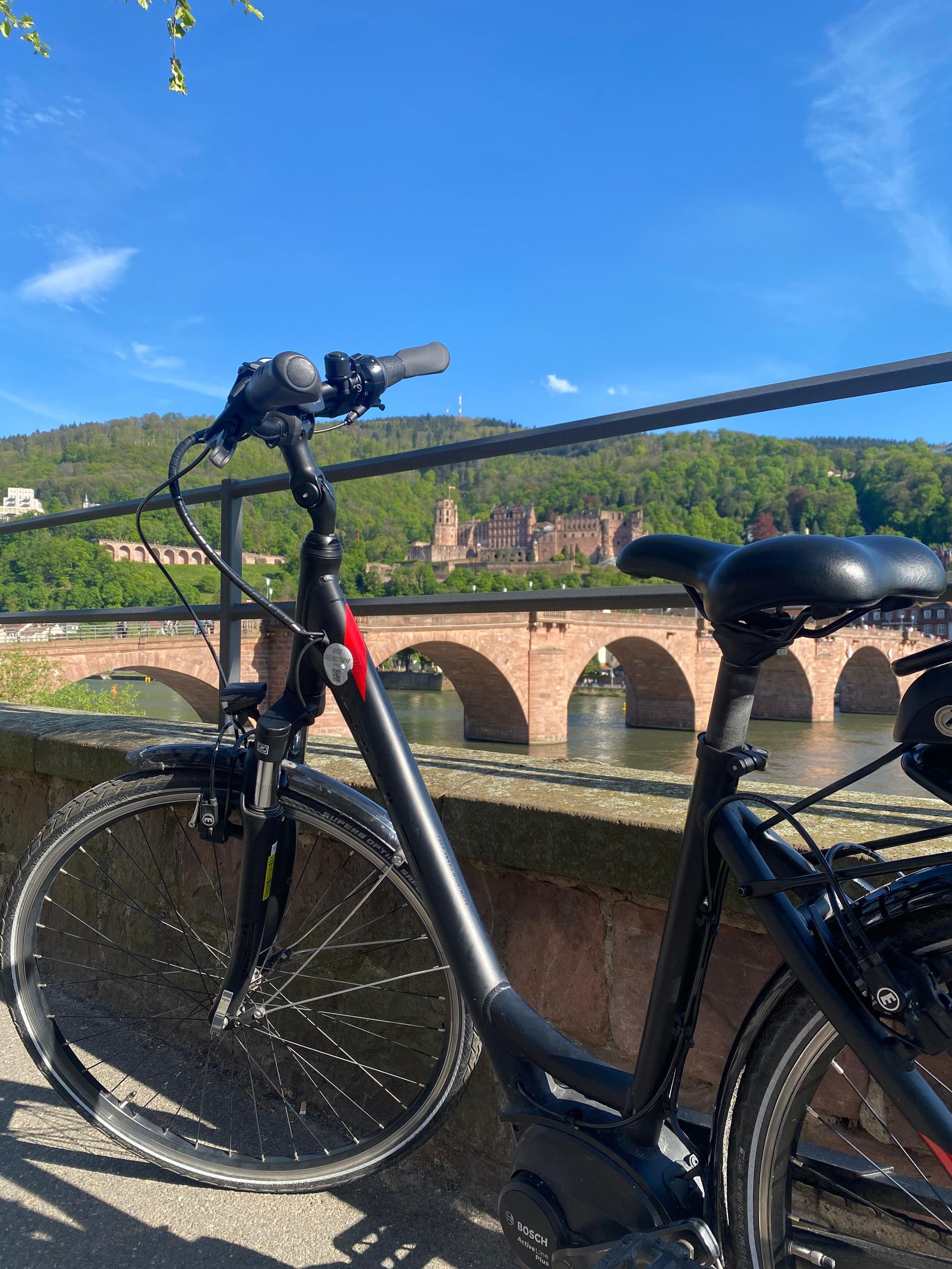 Heidelberg: Geführte Fahrradtour mit dem Ebike