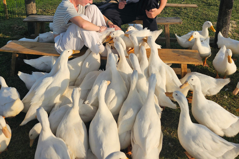 Hoi An: Duck Stop Eco Farm Experience with Duck Feeding