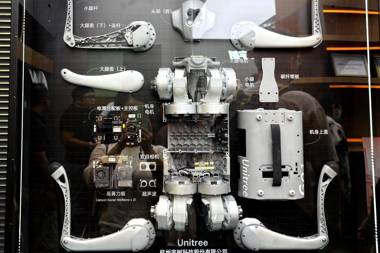 Shanghai: Jing'an Temple & Tech Robotics half-day Tour Shanghai: Jing'an Temple & Robotics Guided Tour