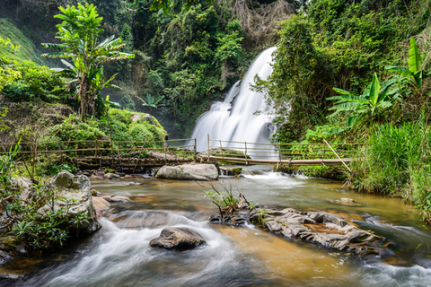 ChiangMai: Park Narodowy Doi Inthanon i minitrek do wodospadu