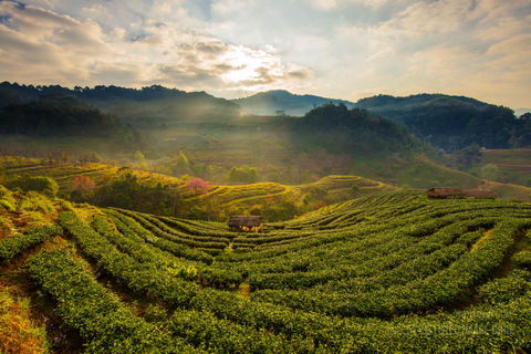 Jakarta: Volcano, Suspension Bridge, and Hot Spring Tour