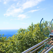 Stresa: Alpyland Alpine Coaster Ride auf dem Berg Mottarone