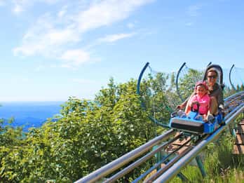 Stresa: Alpyland Alpine Coaster Ride on Mount Mottarone