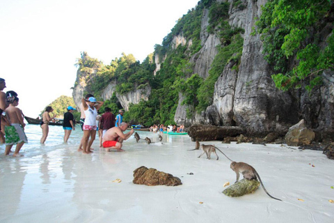 Da Phi Phi: Escursione di un&#039;intera giornata di snorkeling con la barca a coda lungaDa Phi Phi: gita di snorkeling di un&#039;intera giornata in barca a coda lunga