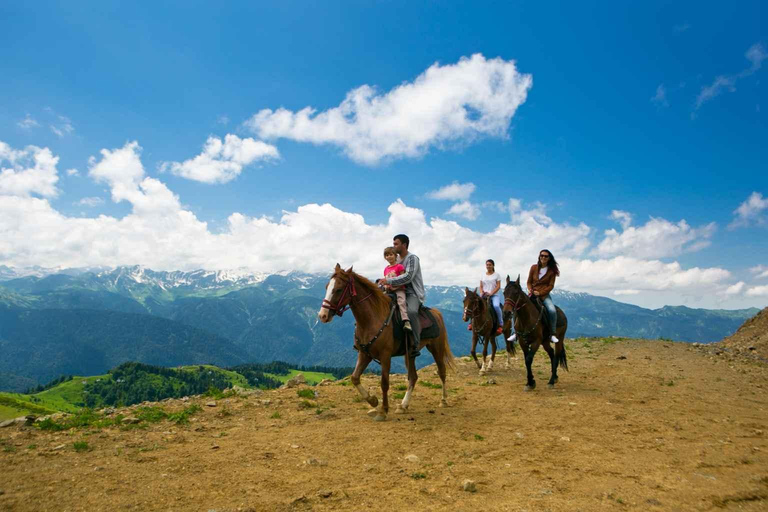 From Tbilisi: Caucasus ..Kazbegi Day Tour Private Car