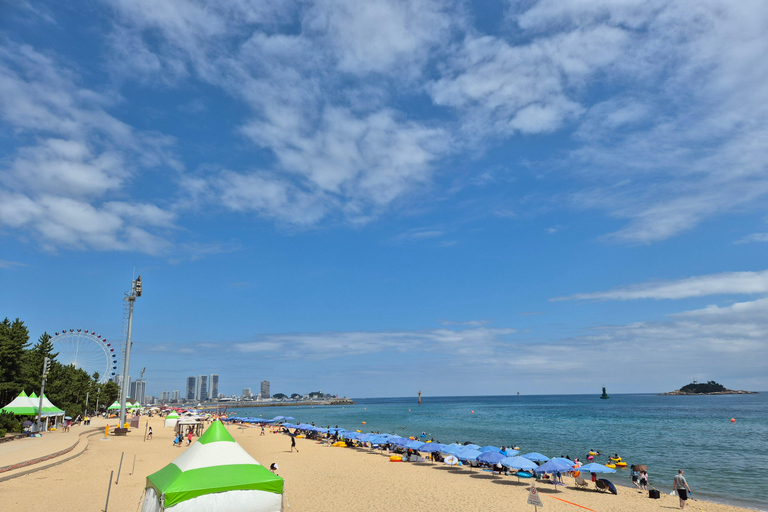 From Seoul: Seoraksan National Park & Sokcho Beach Day Trip