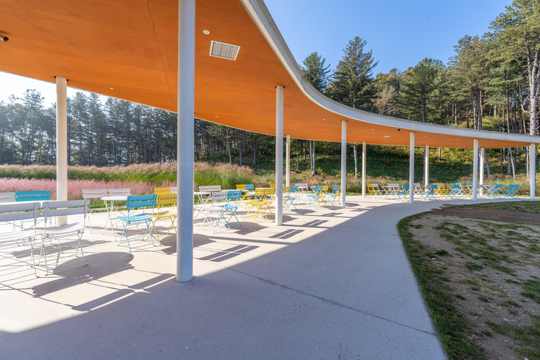 Gyeonggi: Alpaca & Sheep Ranch Admission Ticket in Gapyeong