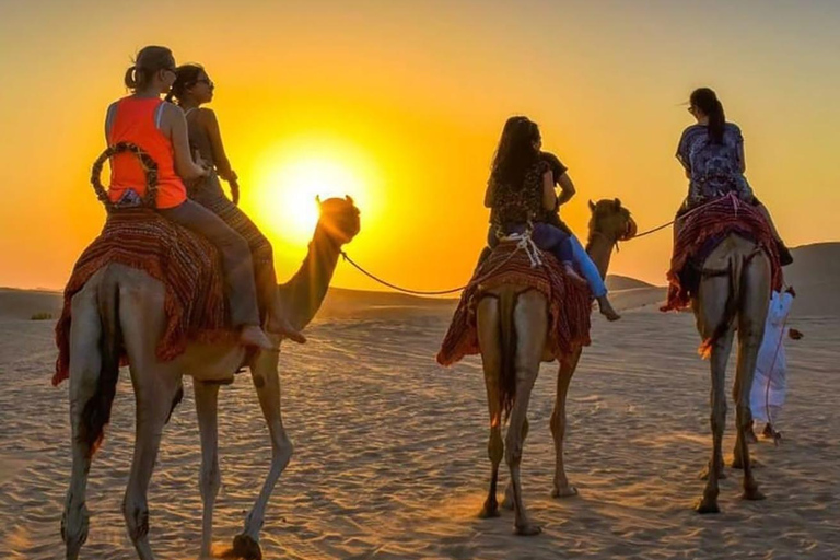 Agadir: Desert Quad & Camel Ride with Tea in a Berber Tent Single Quad Ride (1 Person per Quad)