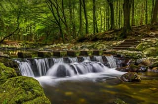 Belfast: Private Tour zu den Mourne Mountains & Silent Valley