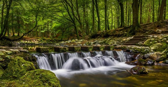 Belfast: Mourne Mountains & Silent Valley Private Tour