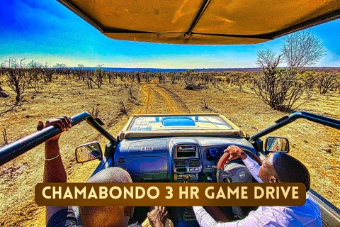 Wodospady Wiktorii: Chamabondo Game DriveMała wycieczka grupowa chamabondo