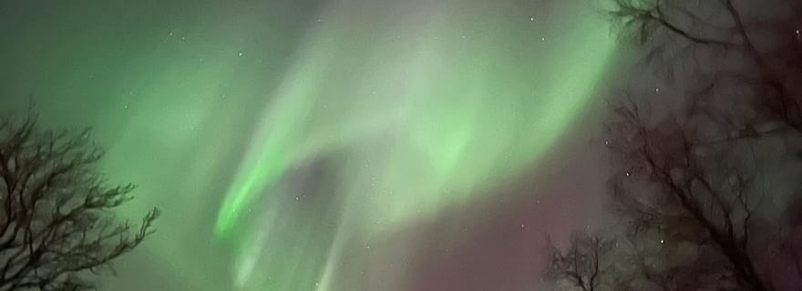 Harstad : visite de l'île, de la ferme et des aurores boréales