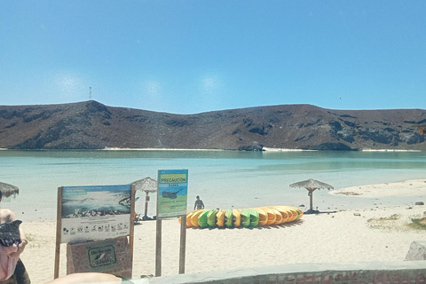 Incredible Private Tour to Balandra and Todos Santos Private Tour La Paz and Todos Santos from 1 to 6 People