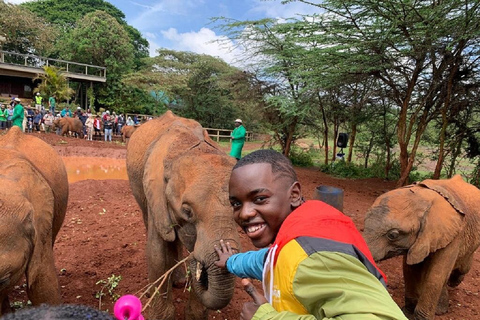 Nairobi Tagestour, Elefantenwaisenhaus und Giraffenzentrum