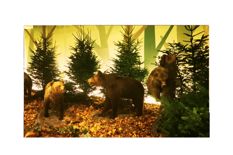 From Bucharest: Hunting Museum Posada with Tickets Included