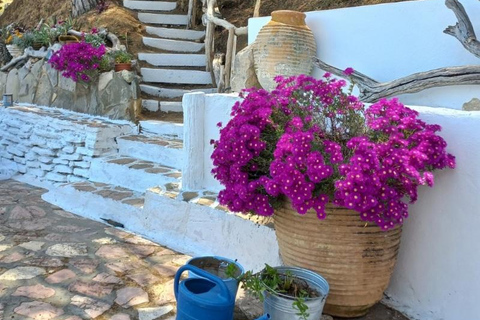 Varied 11-km hike around Koroni: nature, views, beaches