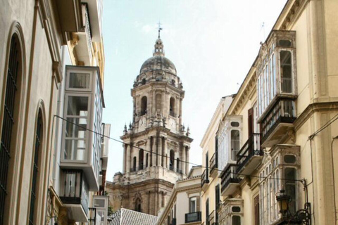 Málaga: Guided Walking Tour of the Historic Center Málaga:Guided Walking Tour of the Historic Center in english