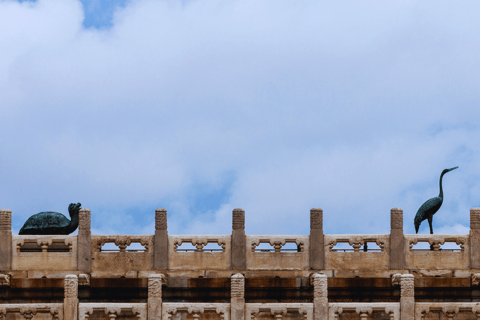 Pékin : Visite privée de la Cité interdite et du Temple du Ciel