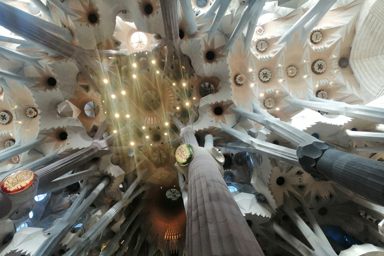 Barcelona: Sagrada Familia Tour met optionele toegang tot de torenGroepsreis