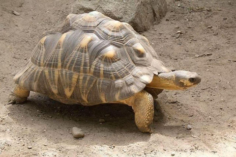 Mombasa: Full day excursion Full day excursion in Mombasa from Diani