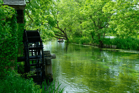 عروض خاصة لخريف ناغانو: كاميكوتشي ومزرعة ومصنع النبيذ واسابيرحلة ليوم واحد إلى كاميكوتشي الجبلية +