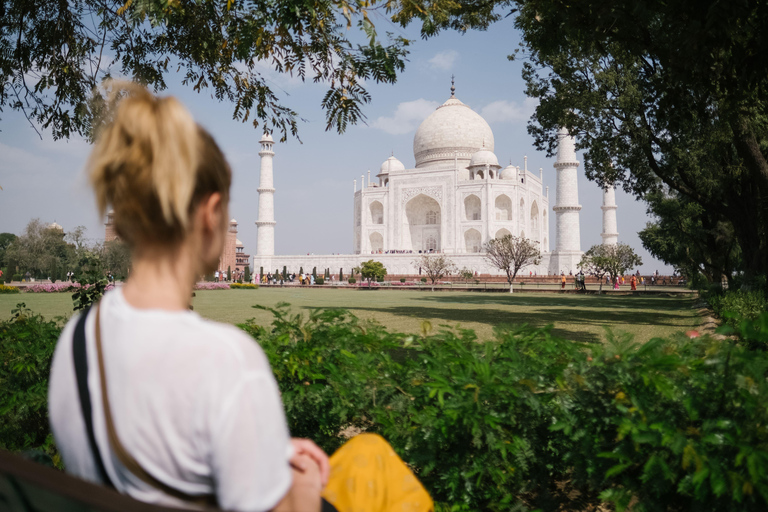 De Delhi : Tour du Taj Mahal au lever du soleil à AgraSeulement le guide (pas de voiture, de frais d&#039;entrée et de repas)