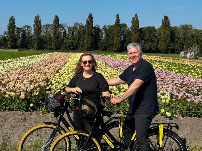Bulb region: Dahlias and Mills Bicycle Tour