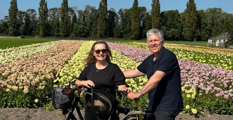 Bulb region: Dahlias Bicycle Tour