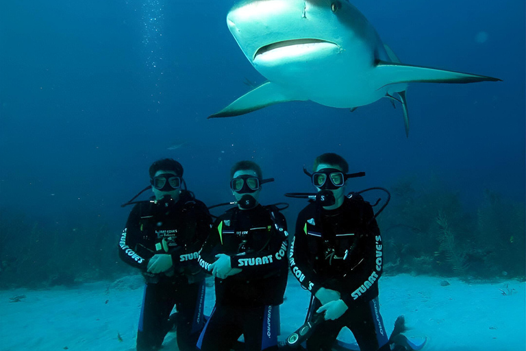 2 días de buceo en Santa Cruz - Islas Galápagos