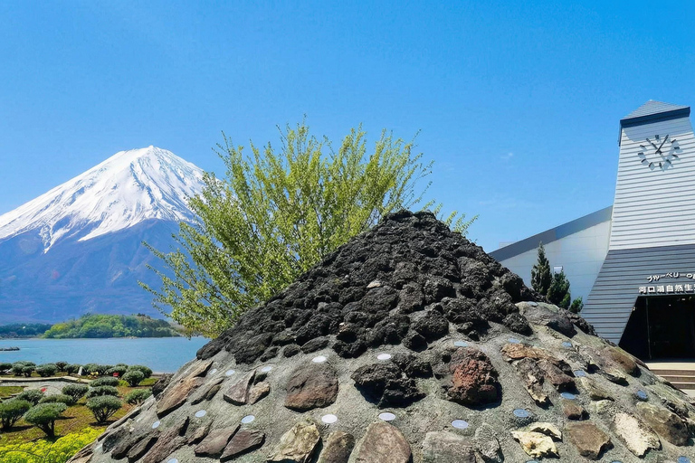 Tokyo: Mt Fuji & Oishi Park, Oshino Hakkai, Chureito Pagoda Free Karaage Chicken Set | Tokyo Station 8:00AM