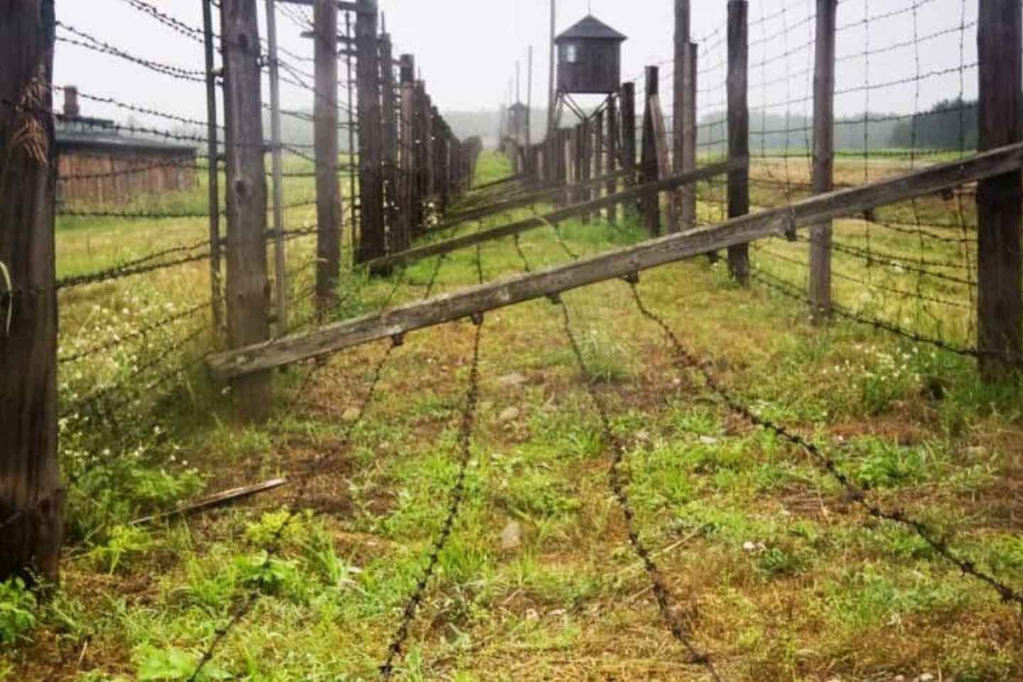 From Warsaw: Tour to Majdanek Concentration Camp and Lublin