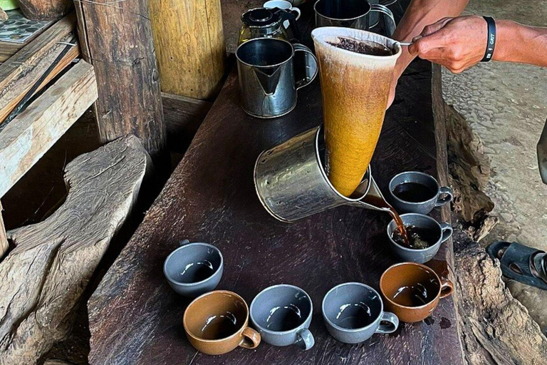 Chiang Mai: Parco nazionale di Doi Inthanon e trekking di Pha Dok Siew