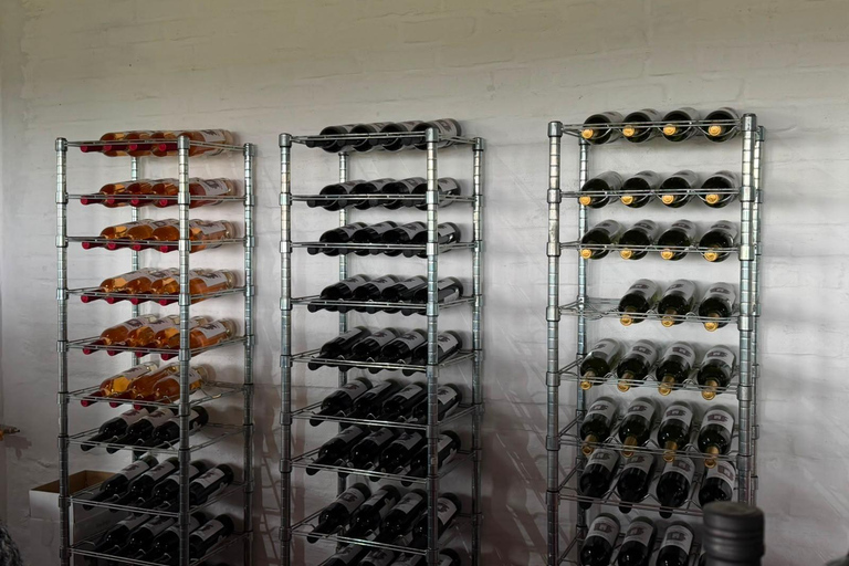 Colonia del Sacramento: Vineyard Tour & Special Wine Tasting