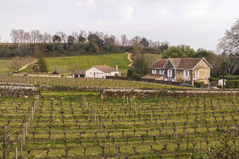 Bordeaux Countryside &amp; Vineyards by Gravel Bike